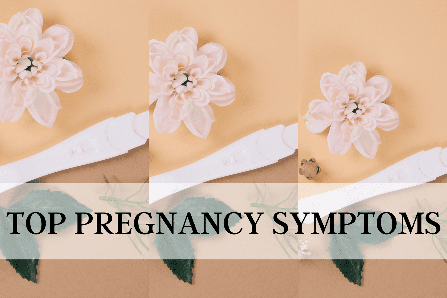 top pregnancy symptoms