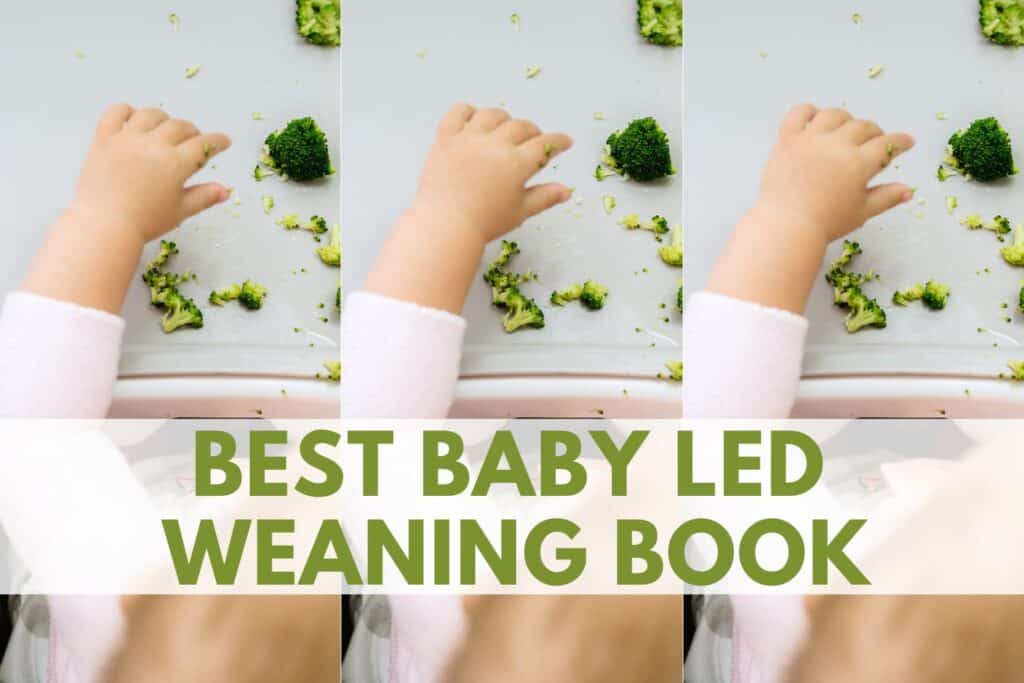 best baby led weaning book