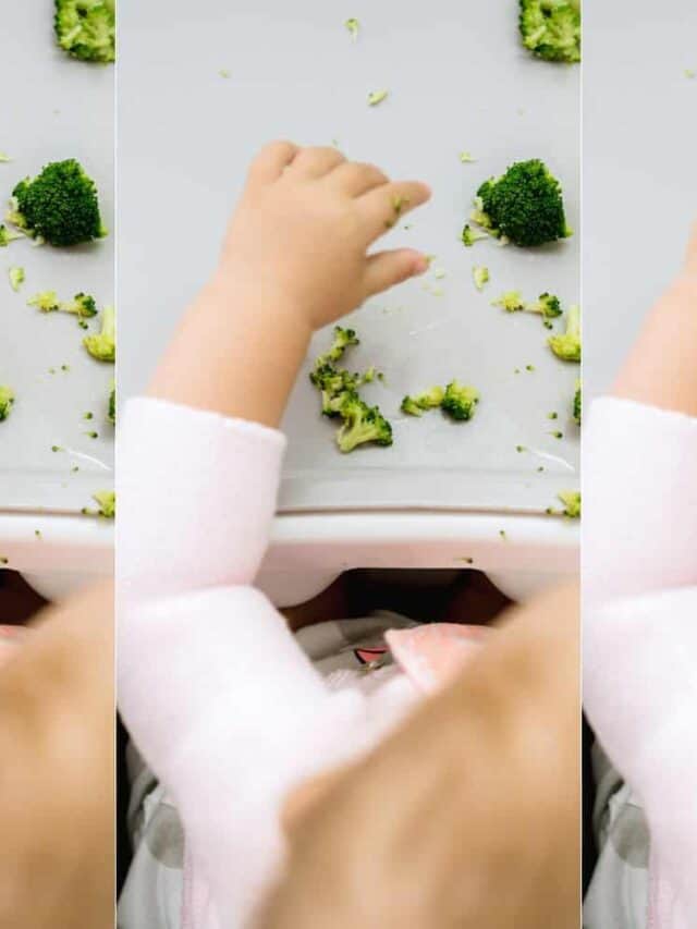 Baby-Led Weaning: A Comprehensive Guide for Beginners