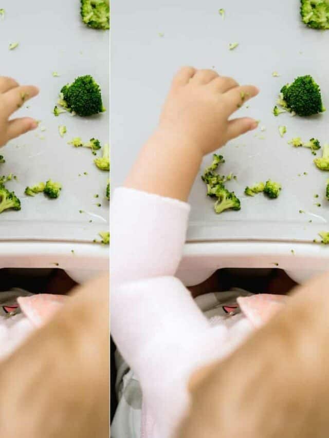 The 6 Best Baby Led Weaning Book To Help Your Get Started