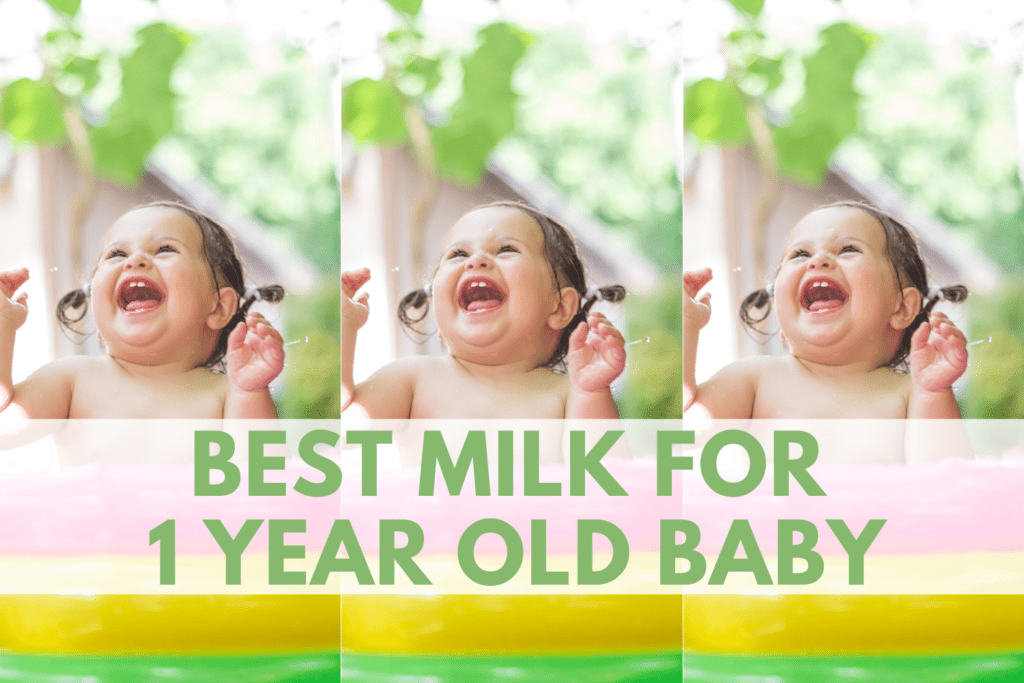 best milk for 1 year old baby