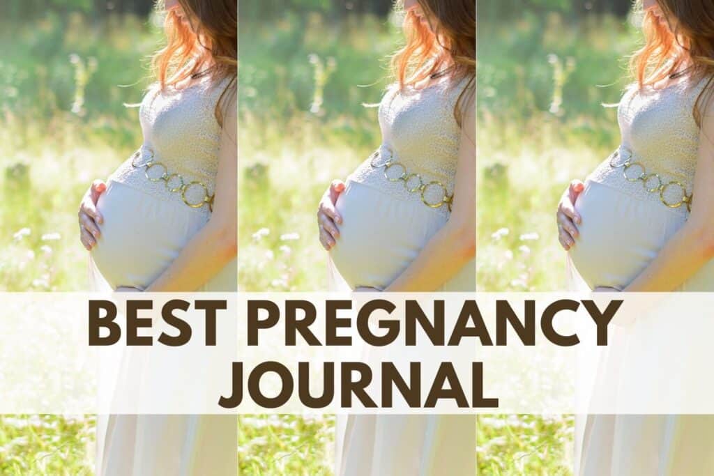 best pregnancy journal