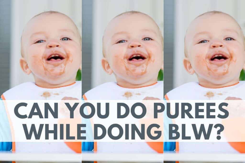 can you do purees and baby led weaning