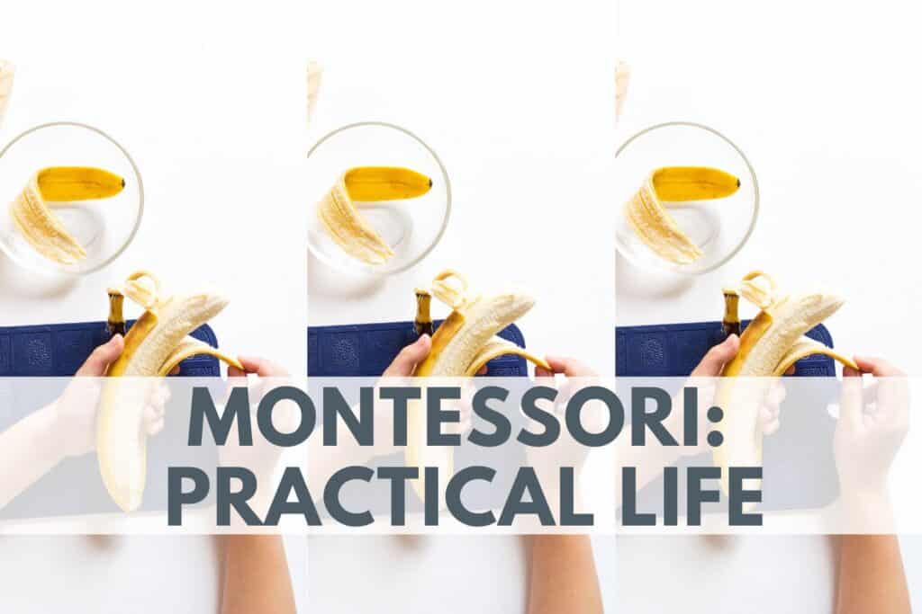 what are practical life experiences according to montessori