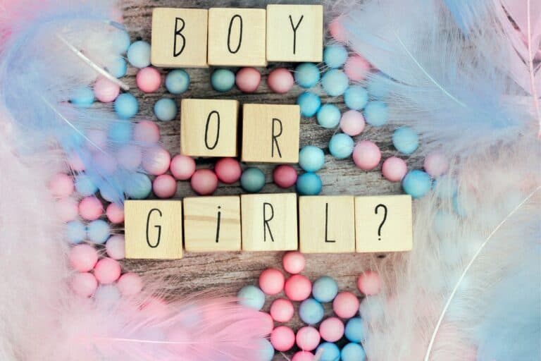Do The Parents Know The Gender At A Gender Reveal Party?