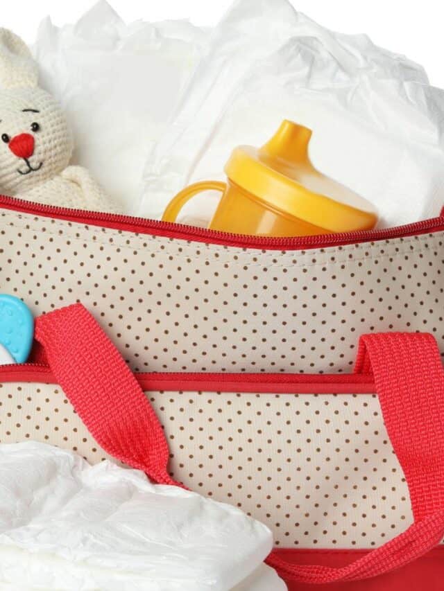 The Best Diaper Bag For New Moms