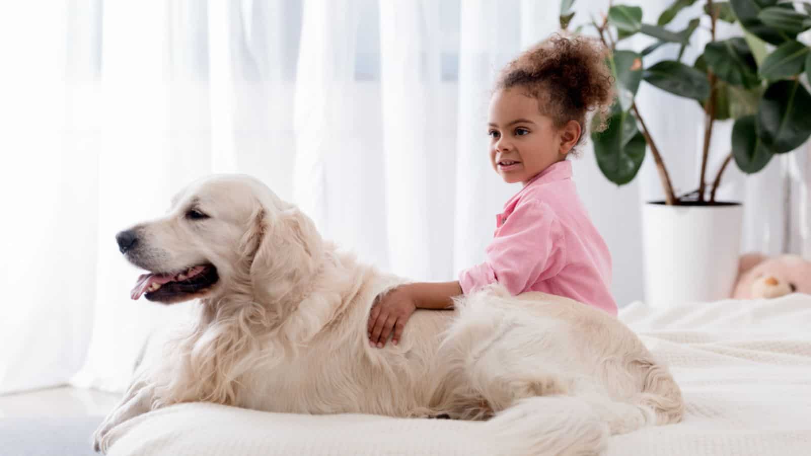 Adorable african american kid hugs her dog on the bed