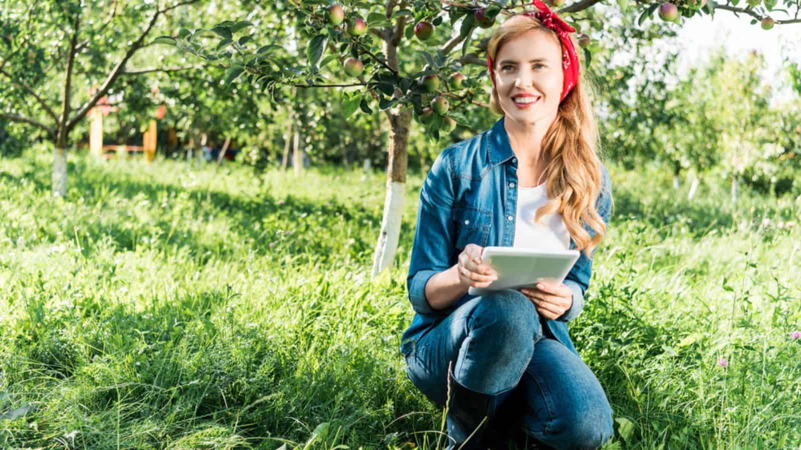 Attractive farmer squatting and holding tablet in apple garden at farm