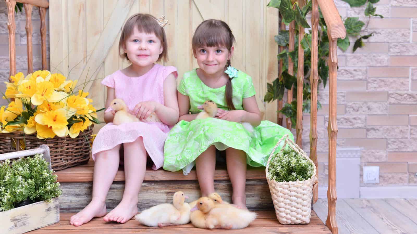 Beautiful cute girls with little ducks