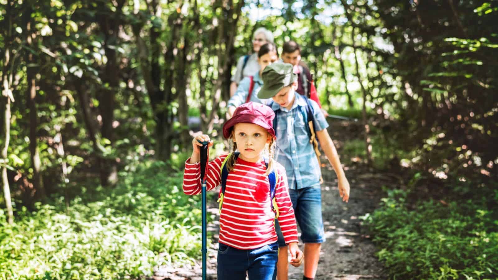 Family hiking in the forest holding stick
