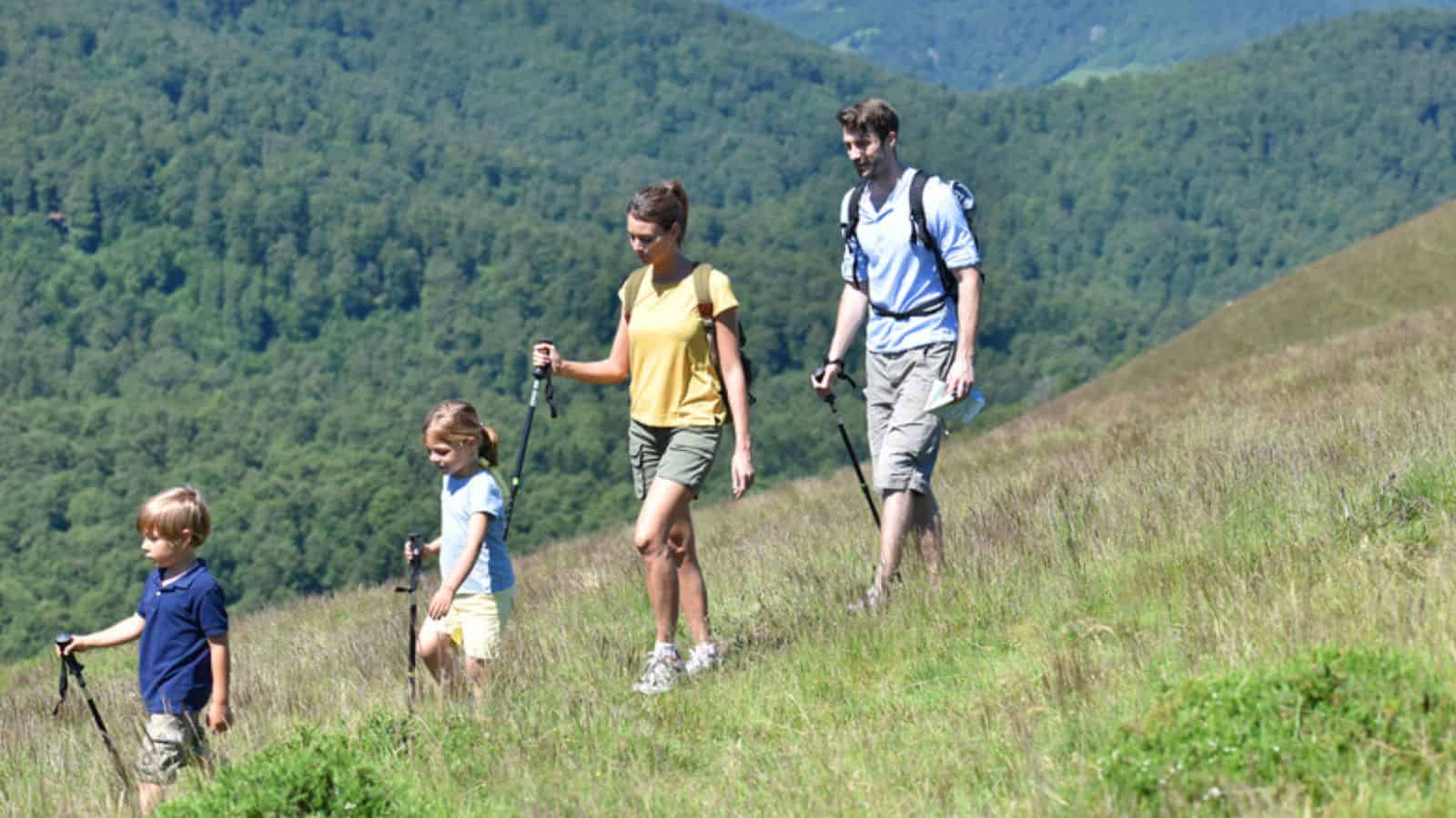 Family of four hiking with a stick