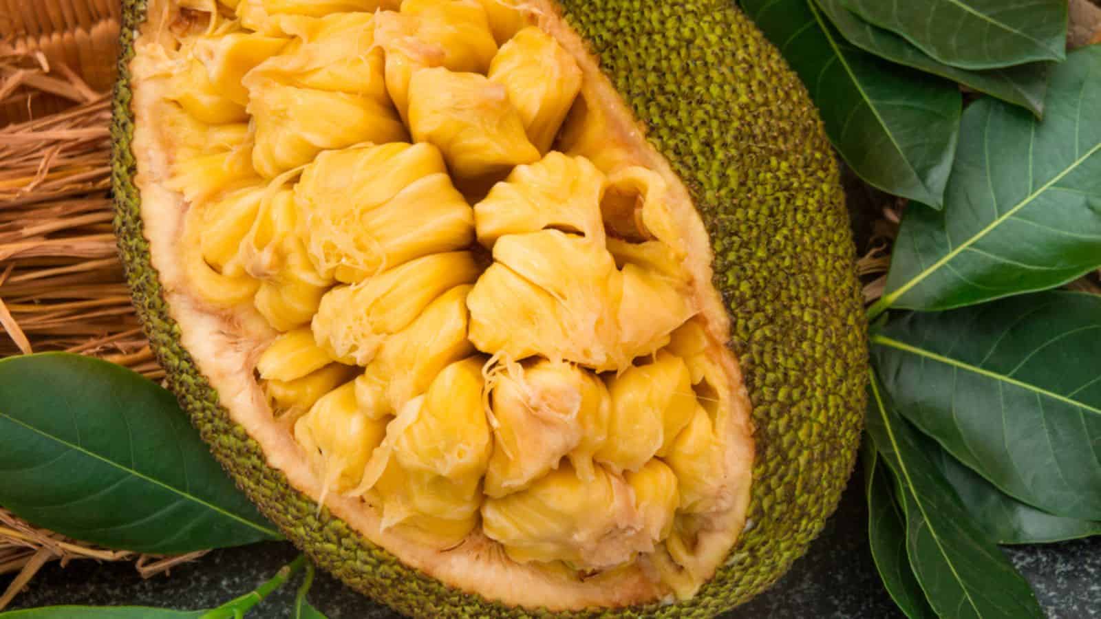 Fresh sweet jackfruit segment ready for eat