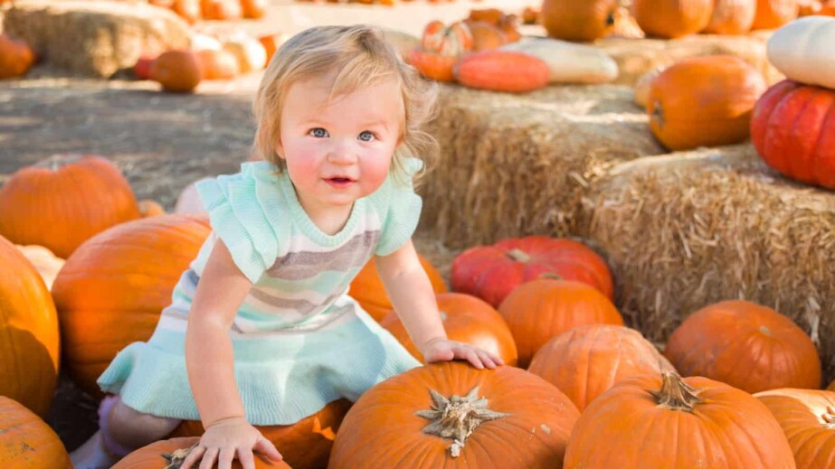 Girl Holding a Pumpkin