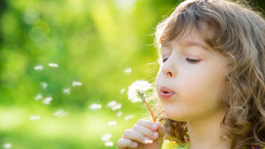 Happy child blowing dandelion flower