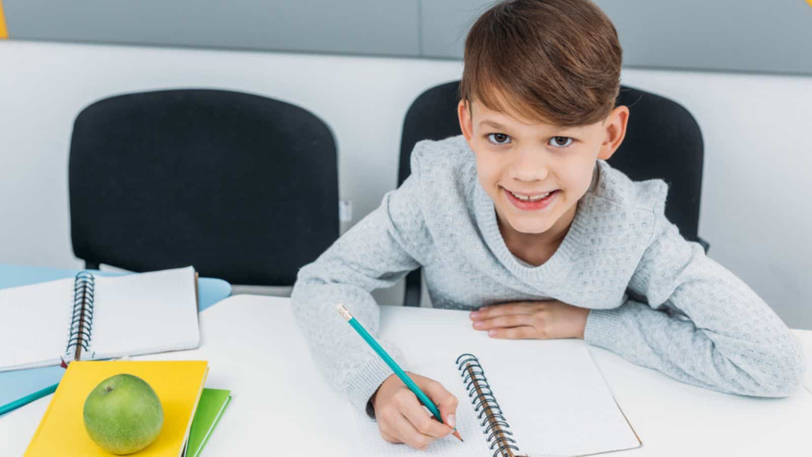 Happy schoolboy writing in notepad in classroom