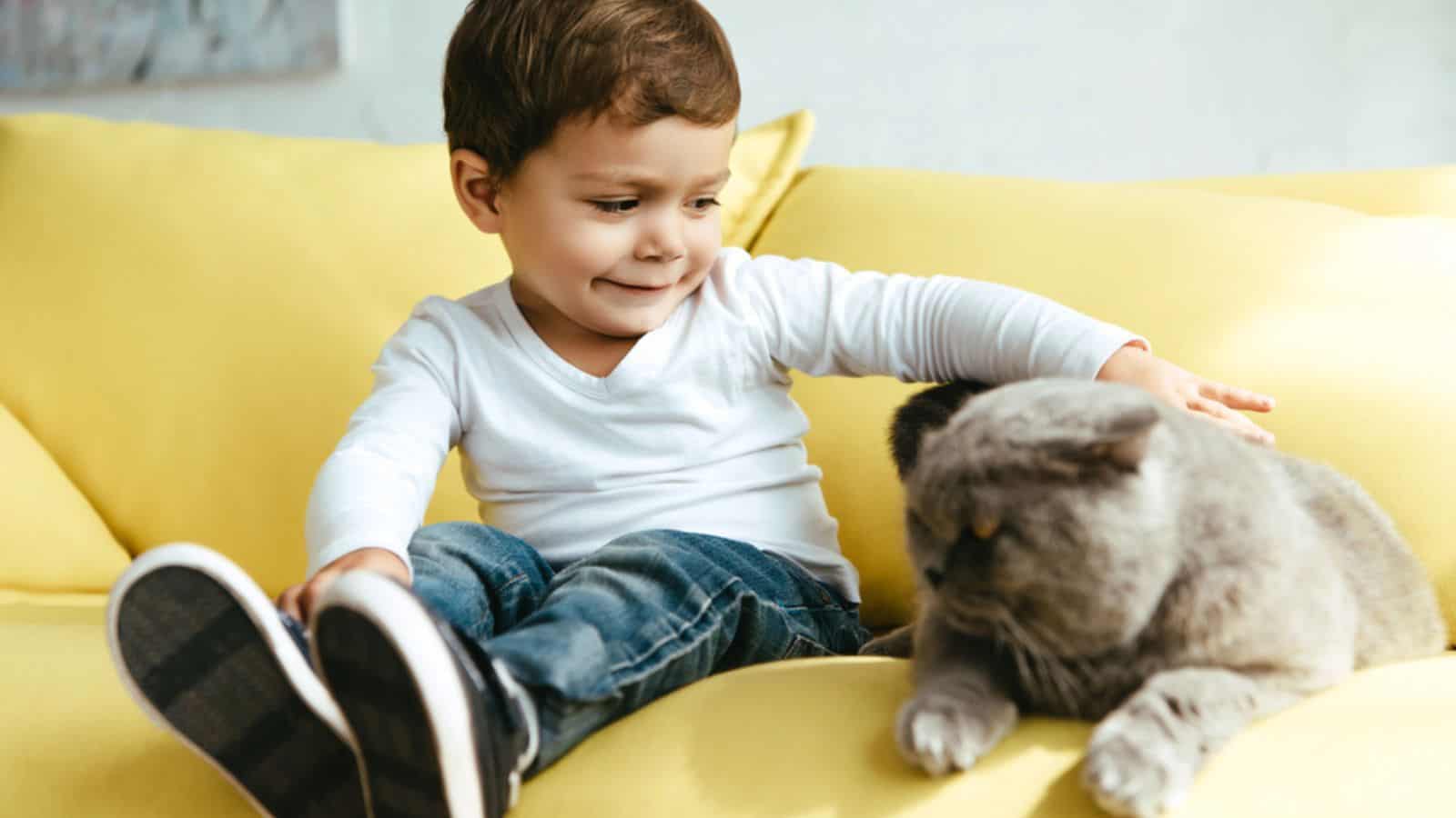 Male toddler petting cat and sitting on yellow sofa at home