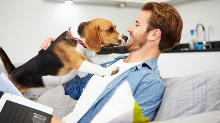 Companionship, Mental Health And More: 10 Great Reasons To Get Your Family A Dog Today