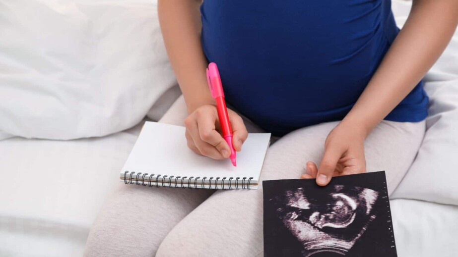 Pregnant woman with notebook