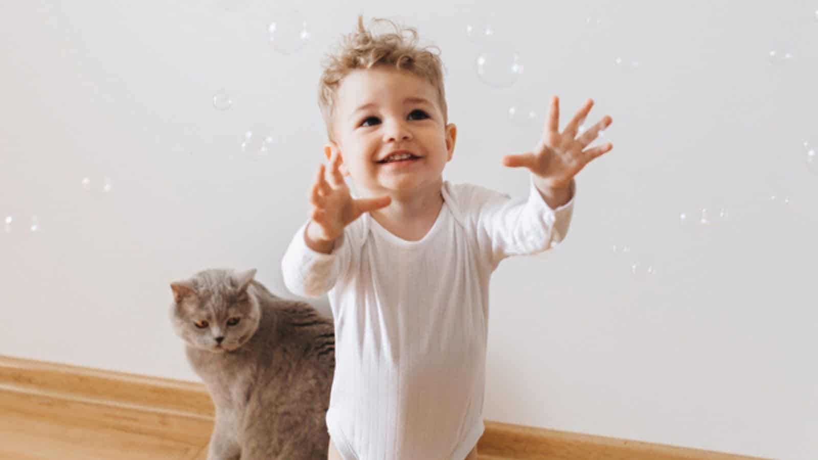 Smiling toddler boy in white bodysuit catching soap bubbles with grey cat near at home