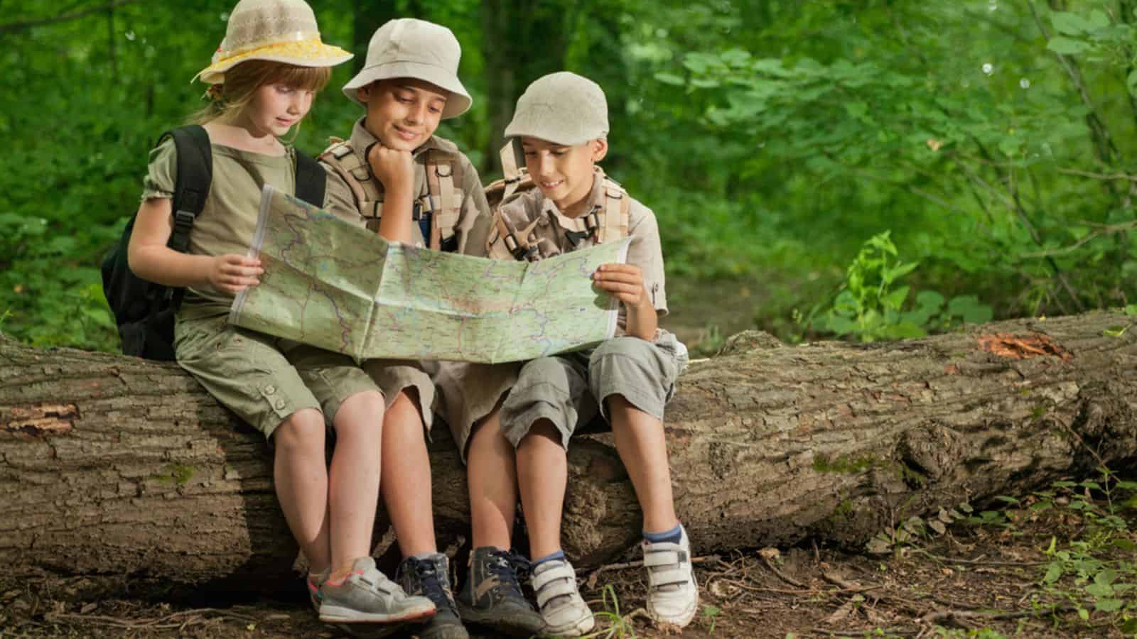 Summer camps,scout children camping and read map in forest