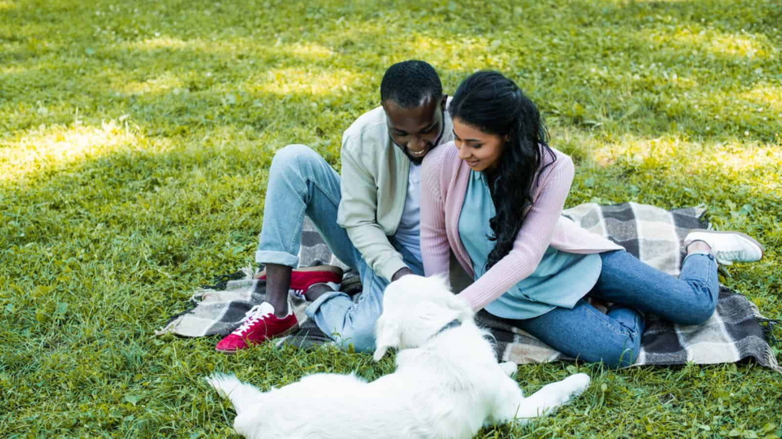 american couple sitting on blanket in park and looking at dog