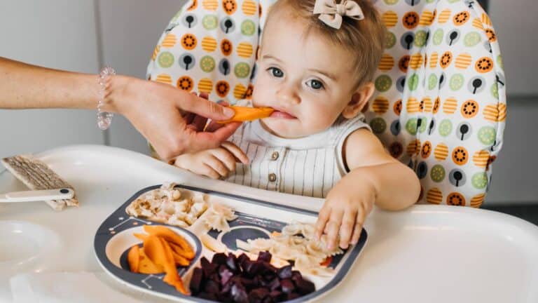 Solve Your Picky Eater Problems With These Tips On How To Make Your Child Eat Vegetables