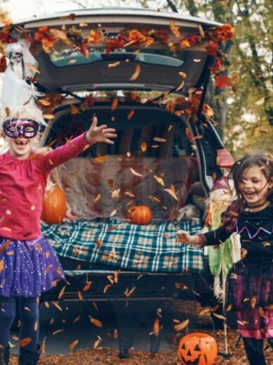 Corn Maze And PSL: 14 Fun Fall Activities To Do With Your Children