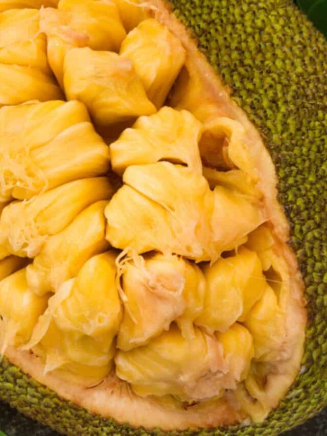 What Is Jackfruit: What You Need To Know About This Tropical Superfood