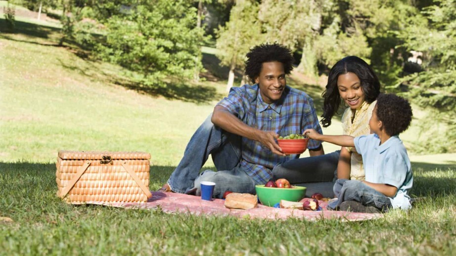 family picnic photoshoot
